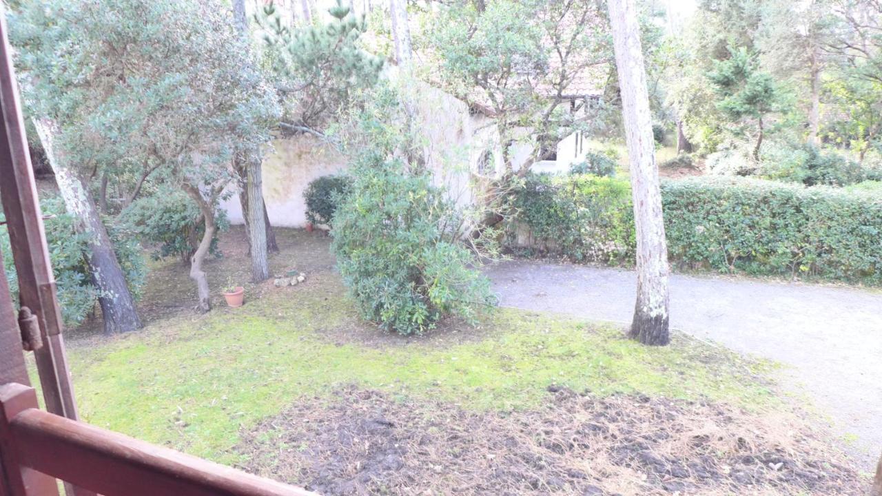 Ref 141 ,Seignosse Les Bourdaines , Villa Bouharde Classee 3 Etoiles, A 600 M Plage, 10 Personnes Exteriör bild